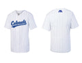 Adult Pinstripe Baseball Jersey